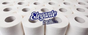 Papeles marca Elegante: papel higienico, rollos de cocinas, servilletas, bobinas de papel, pañuelos y más.